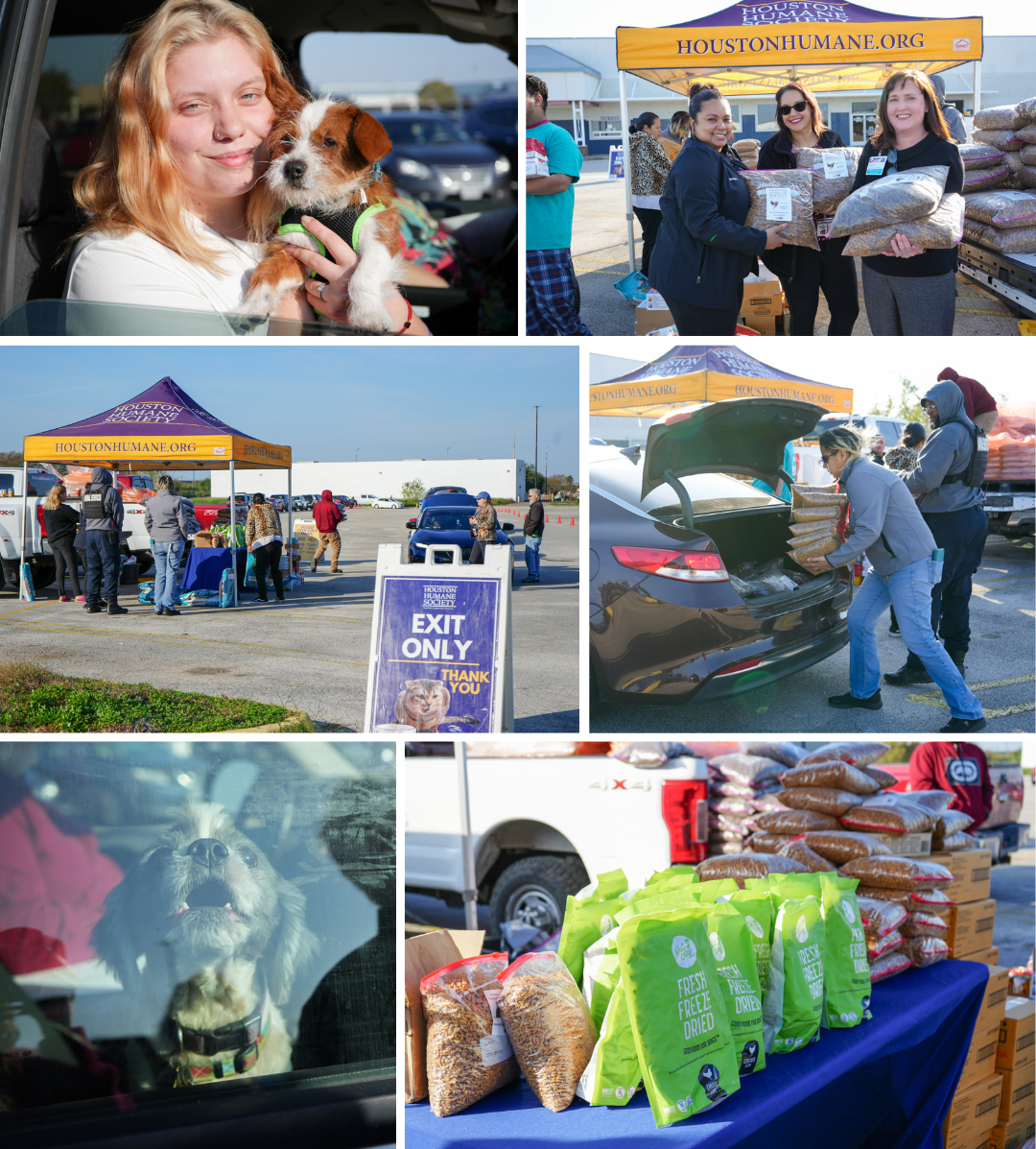 Pet Food Pantry Event photo collage