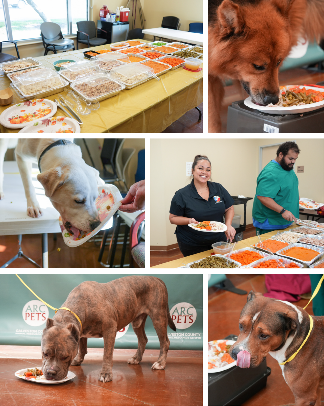 ARC Thanksgiving feast photo collage