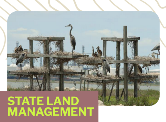 State Land Management