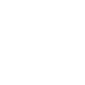 Seal of the State of Texas Governor