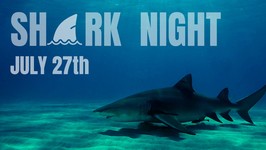 Shark Night Chisholm aquatics image July 27