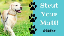Strut your mutt image for strut your mutt event Wednesday, July 31