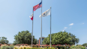 image of flags in front of city hall
