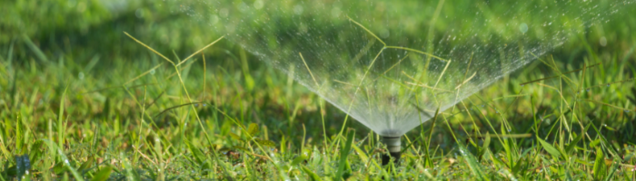 image of sprinkler being used to water lawn