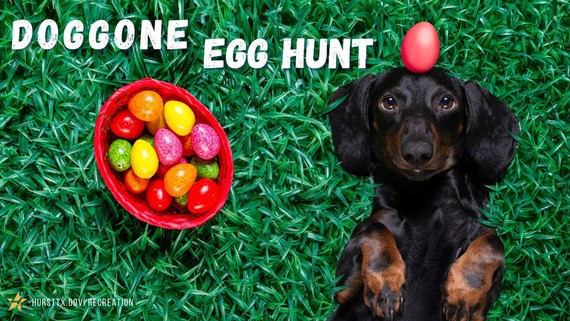 Dog with bunny ears surrounded by eggs that says Doggone Egg Hunt