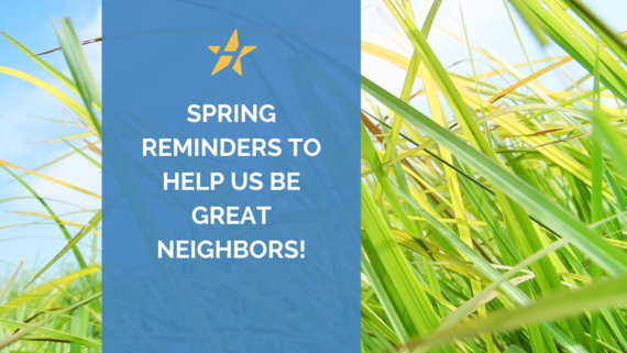 Spring Reminders for Being a Good Neighbor