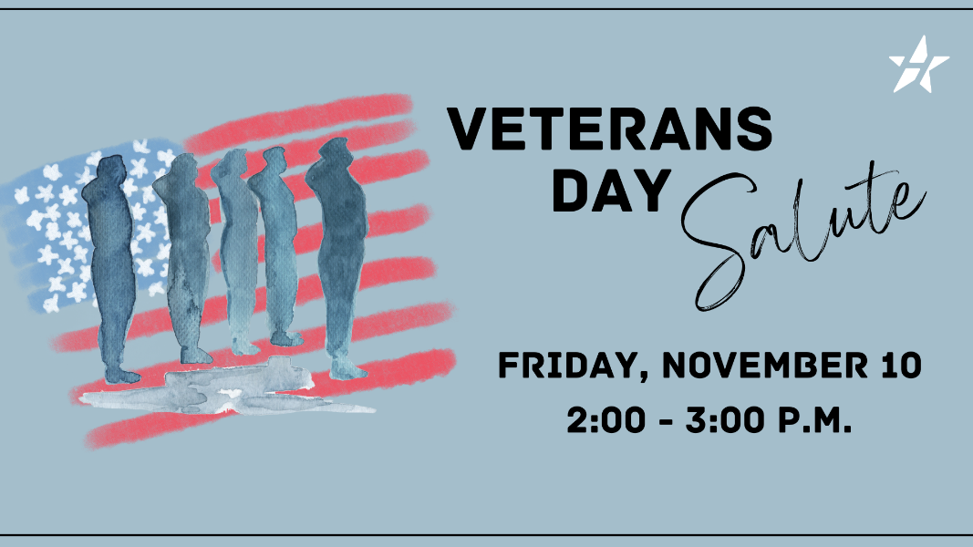 veterans day salute on friday november 10 from 2 to 3 p.m.