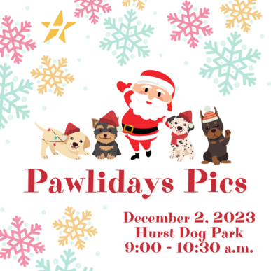 Pawliday Pics