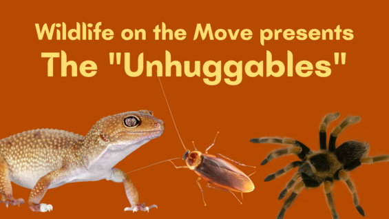 unhuggables