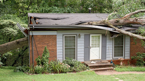 home with damage from fallen tree