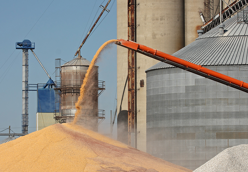 Stand Up for Grain Safety Week