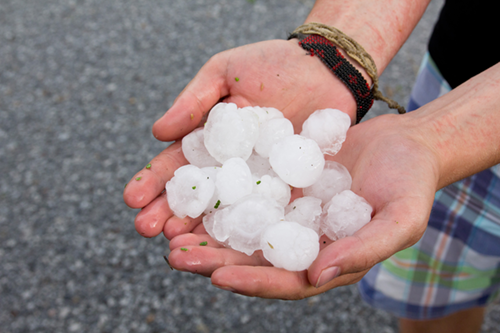 Photo of hands holding hail