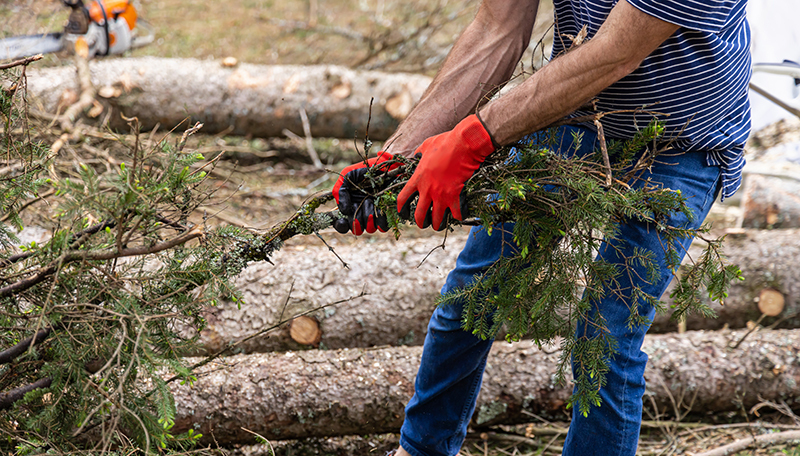 Disaster recovery resources