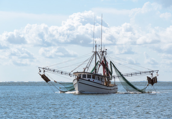 A shrimp boat in the Gulf.