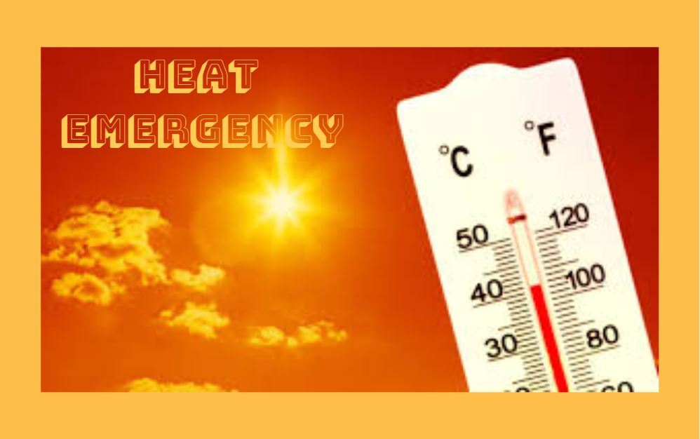 METRO Helps Residents Stay Cool During Heat Emergency