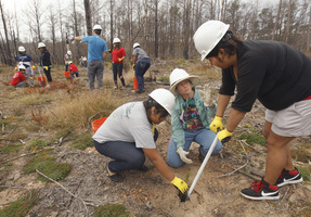Bastrop tree planting volunteers
