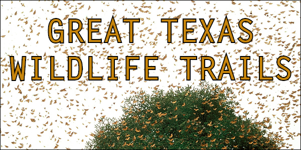 Great Texas Wildlife Trails