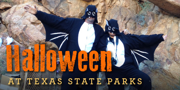 Halloween email header