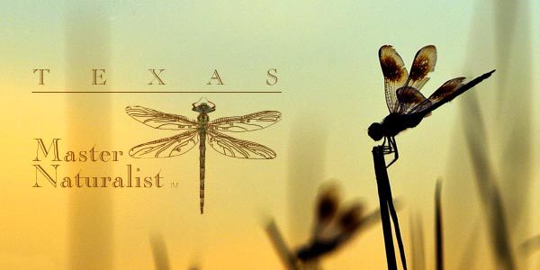 Texas Master Naturalist