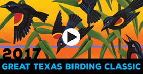 Great Texas Birding Classic