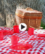 picnic blanket with utensils