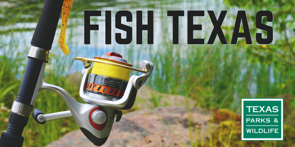 Fish Texas header, spring
