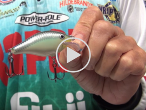 man holding crankbait, link to video about bait
