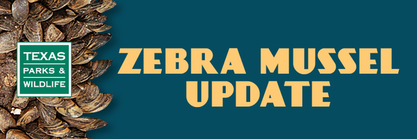 Zebra Mussel Update