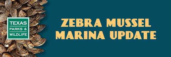 Zebra Mussel Marina Update