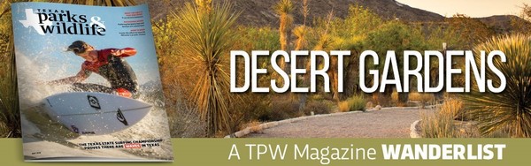 Desert Gardens Email Header 