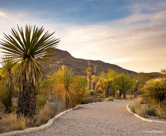 Barton Warnock Visitor Center