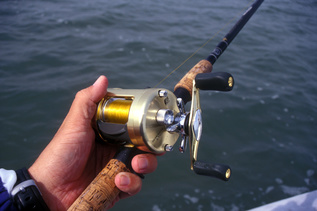 Bait caster fishing reel