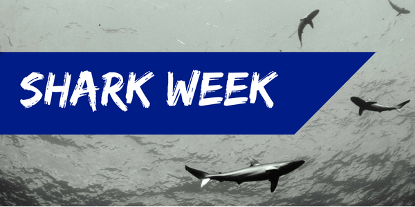 It's shark week!