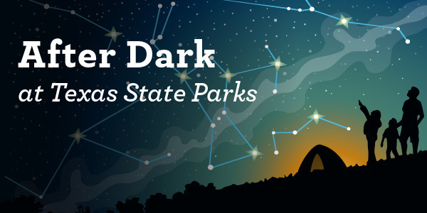 night skies email header