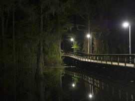 Caddo Lake State Park