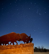 Caprock Canyon stars