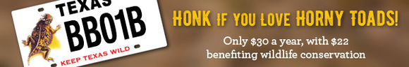 horned lizard conservation license plate link