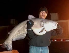 Tony Montoya holding his giant record-breaking catfish