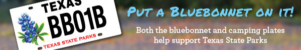 Bluebonnet license plate ad