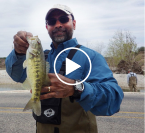 biologist doing fish survey holds Guadalupe bass