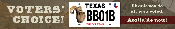 Conservation license plate Bighorn Sheep with link