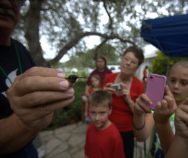 Hummingbird Festival