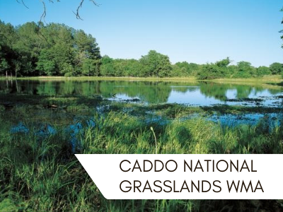 Caddo National Grasslands WMA