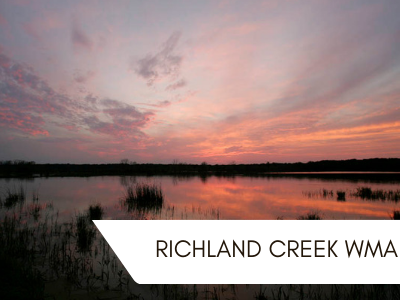 Richland Creek WMA