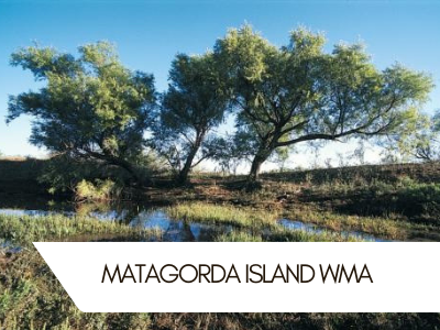 Matagorda Island WMA