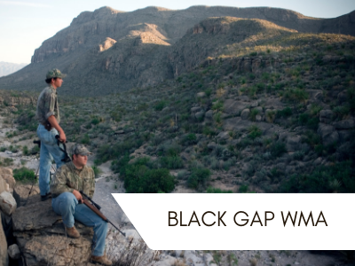 Black Gap WMA