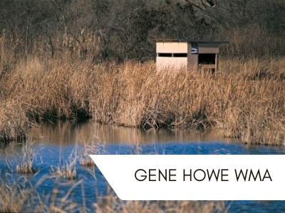 Gene Howe WMA