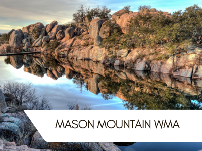Mason Mountain WMA