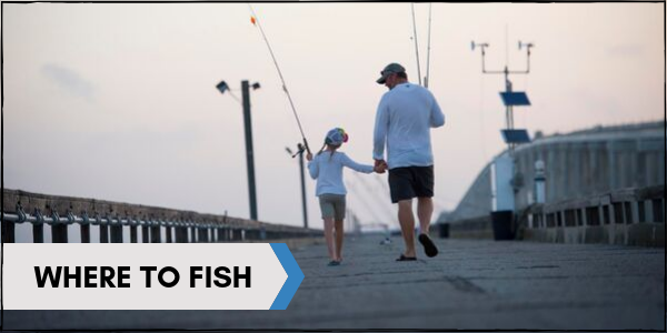 Where to Fish