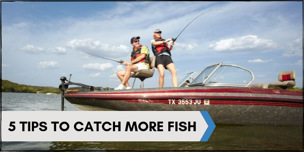 5 Tips to Catch More Fish